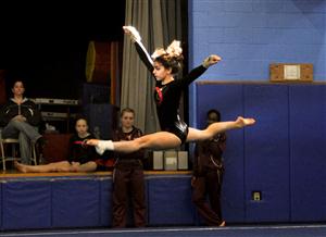 gymnastics gymnastics