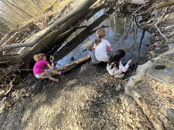  students in a stream 