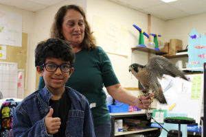  Student standing beside a Peregrine Falcon