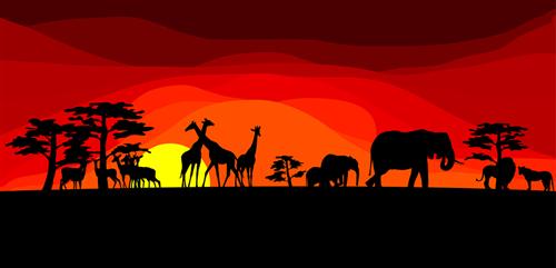 African Savanna 