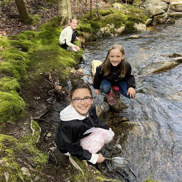  girls in stream 