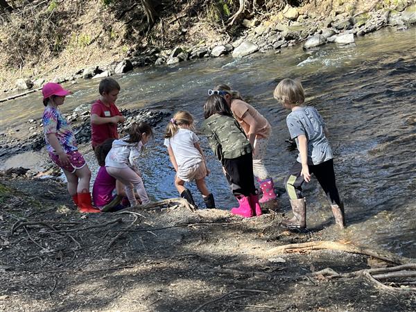  students looking into a stream 