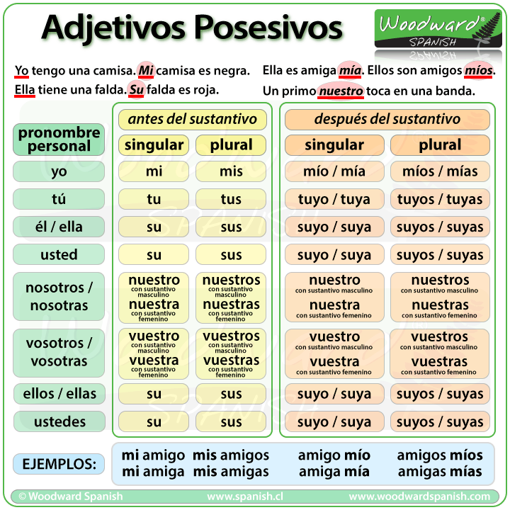 Adjetivos Posesivos 